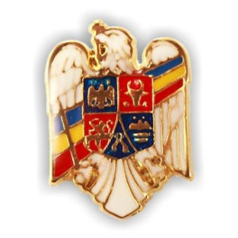 Insigna steag & stema Romania