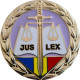 Insigna judecator